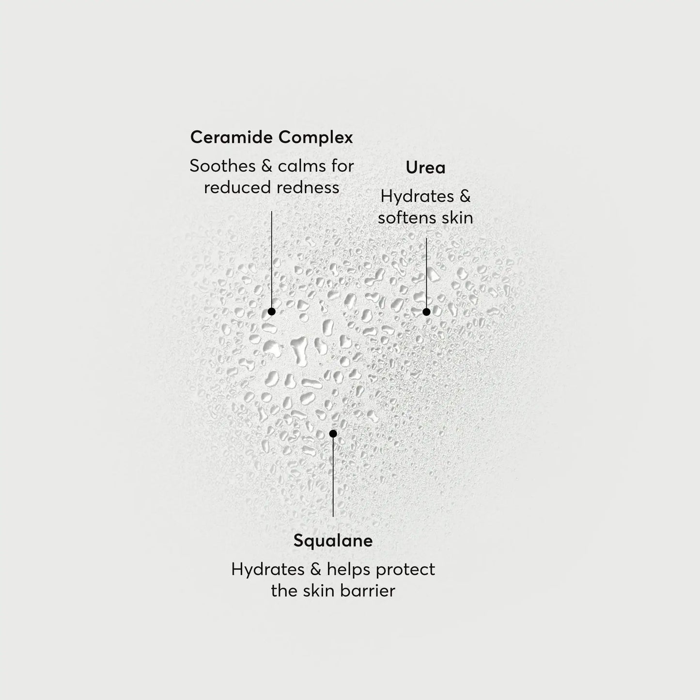 barrier-bounce-bi-phase-mist-p0 NATR-10167-Alt-Images-Barrier-Bounce-Bi-Phase-Toner-Mist_01.webp