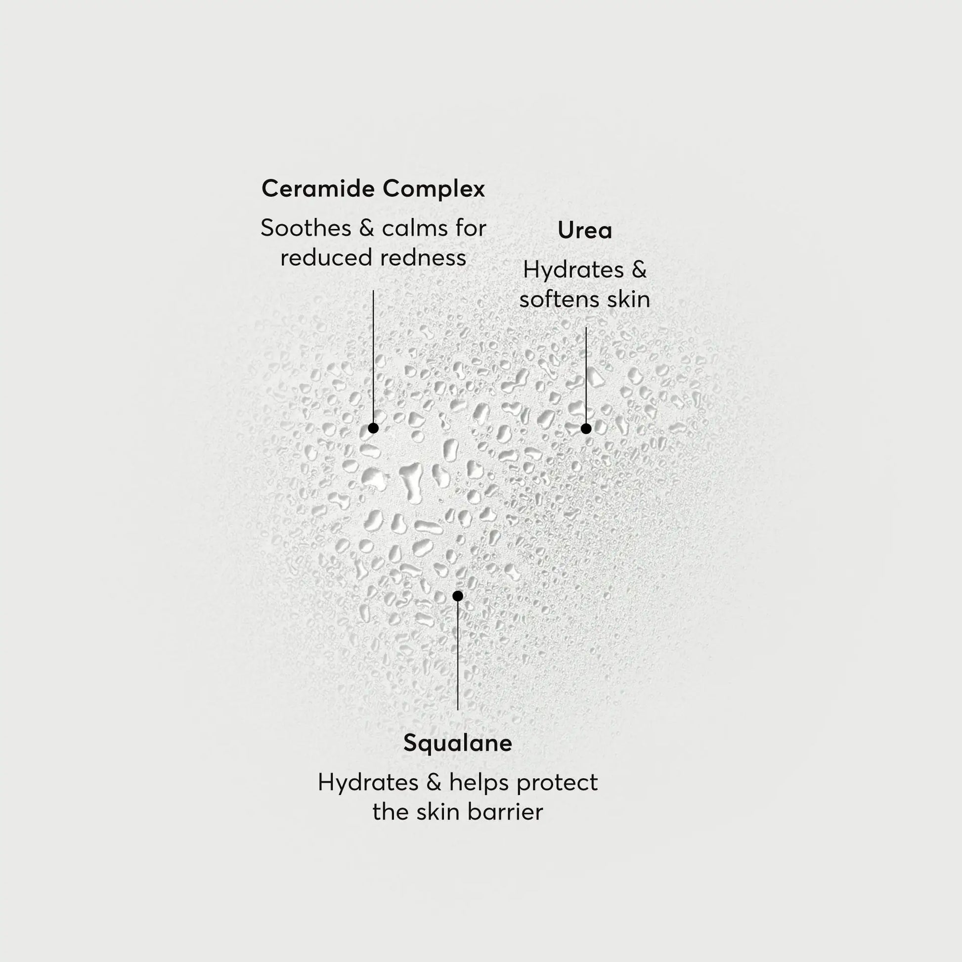 barrier-bounce-bi-phase-mist-p0 NATR-10167-Alt-Images-Barrier-Bounce-Bi-Phase-Toner-Mist_01.webp