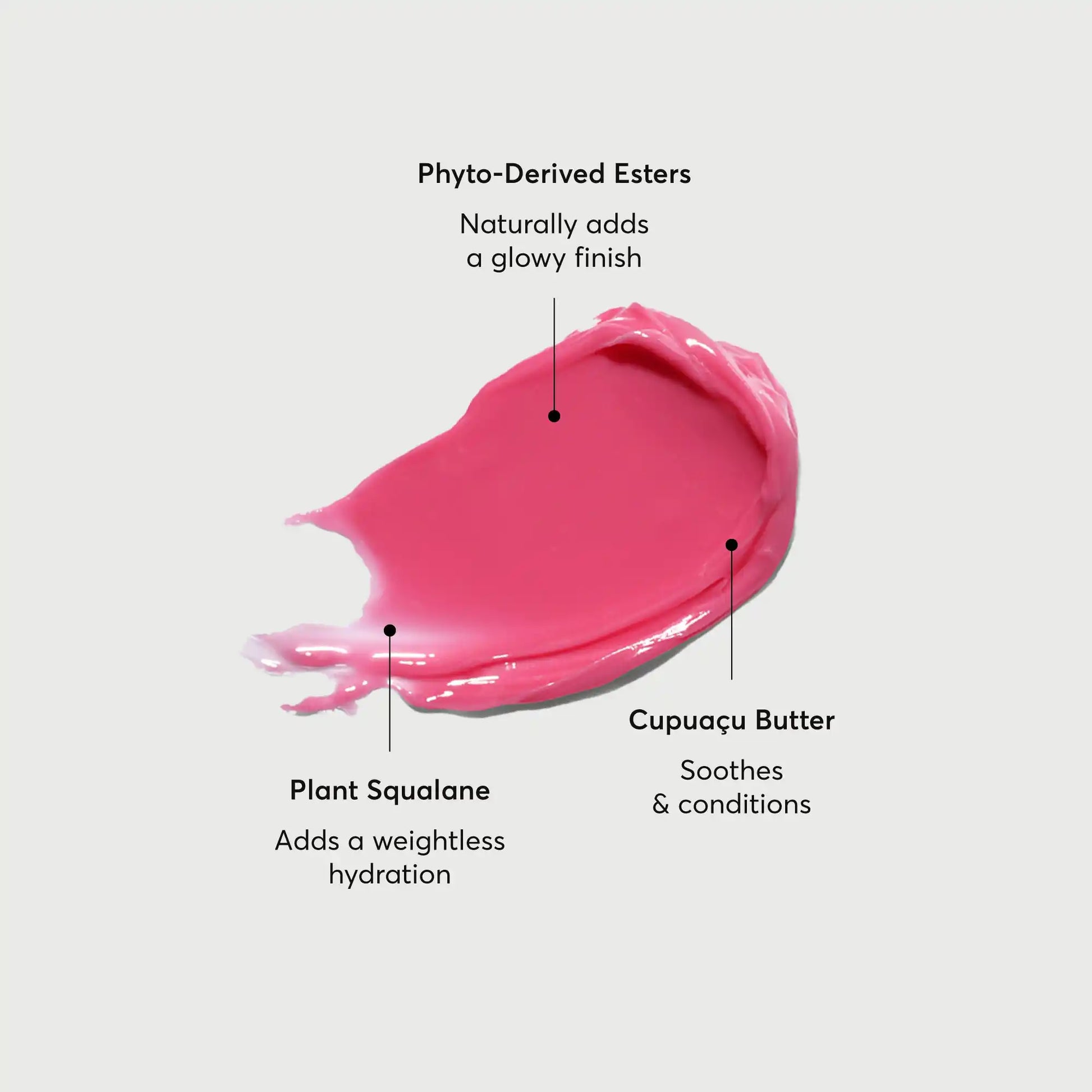 phyto-glow-lip-balm-camellia-p1 NATR-60075-Alt-Images-Phyto-Glow-Lip-Balm-Camellia-01.webp
